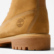 Timberland Bota 6 Inch Premium Waterproof Hombre Café